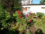 Pani Aurelia wśród kwiatów w Schronisku na Strzegomskiej